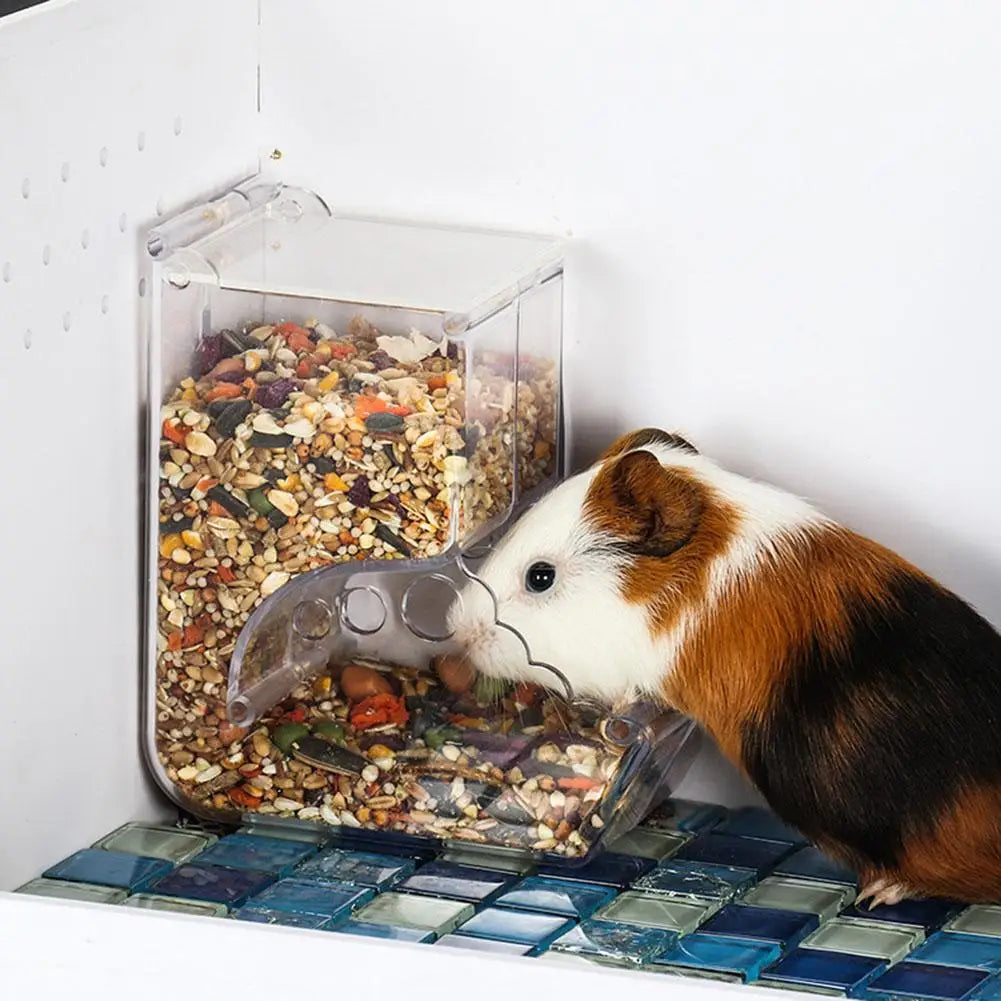 ハムスター・ウサギ用 自動給餌器 プラスチック製（透明） / 小動物用 フードディスペンサー 食器 エサ入れ（ハムスター・モルモット用）